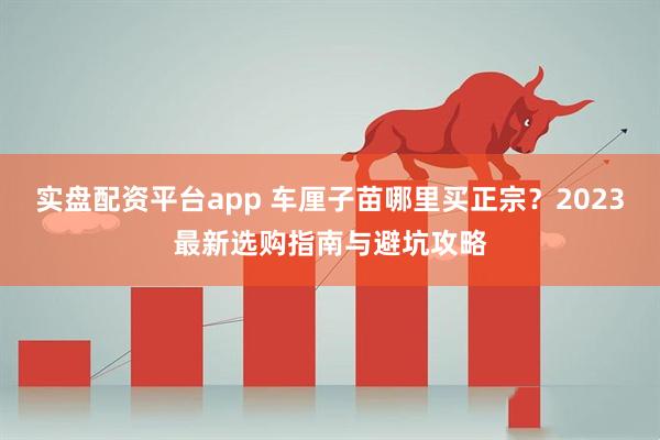 实盘配资平台app 车厘子苗哪里买正宗？2023最新选购指南与避坑攻略